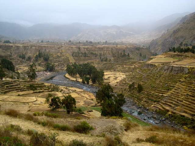 18 días en el Perú - Blogs de Peru - Arequipa y Valle del Colca (17)